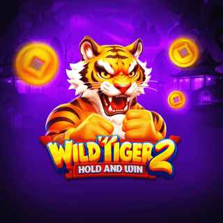 Wild Tiger 2 game cover